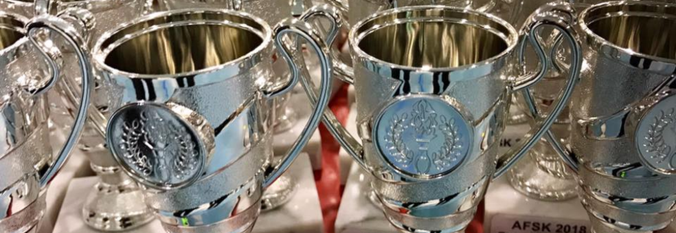 Aurskog Sparebank Cup 2019 - Jenter 8